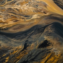 The Ash Pond Series II