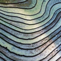 Color of the Terraces