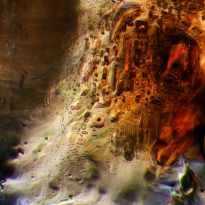 Soya Sauce from my kitchen