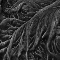 poetry of silence XX-1