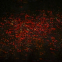 Nature itself is abstract 1