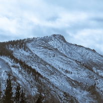 5 Gods of the Olympus