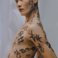 Classical Chinese Poetries