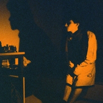 The time traveler and his amber tinted memories 