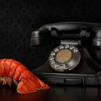 Farewell To Surrealism