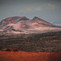 Follow the Yellow Bus