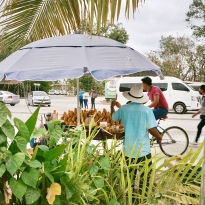 chaos and tranquility 