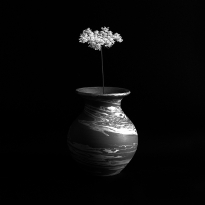 The world in a vase