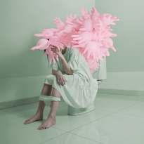 Memoirs Of Isolation