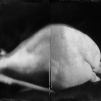 SI LOIN, SI PROCHES_26