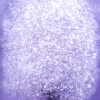 The time of the trees