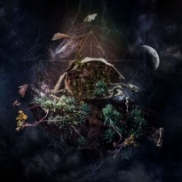 Merkaba: Vehicle of Light