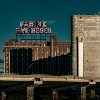 Farine Five Roses