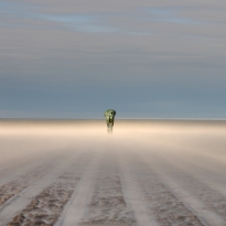 Tomorrow man..made by the sea