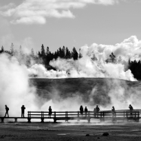 At the Norris Geyser Basin