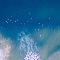 The paradise of surfers