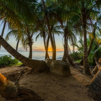 Sunrise In Puerto Rico