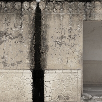 Vestiges of Biophilia