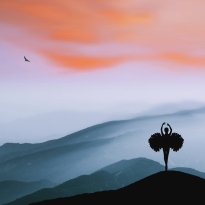 Chinese style ballet