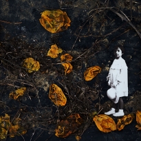 Alice's Adventures in the World of Waste