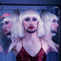 'Dolphins in Venice'