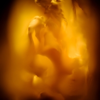 Flora Still Life No 2272