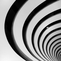 About Lines and Curves