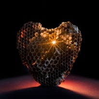 Masterpiece of Nature