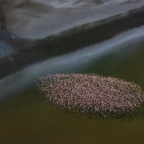 Flying Over Lake Magadi