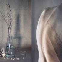 Diptychs. Internal changes.