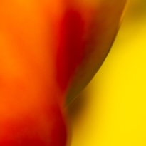 Abundance is everywhere 