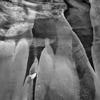 poetry of silence XXVI