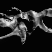 Poetry of Silence XXV-3