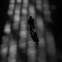 The Path of Light and Shadows