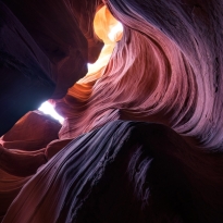 Treasures of Antelope