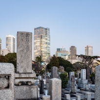 asian dusk - the empire of light