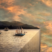 Surviving Chronic Illness