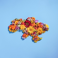 ?emories of a dear homeland