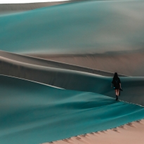 The Solitary Explorer: A Journey Through the Gobi Desert's Dunes