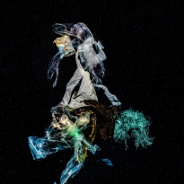 Modern universe underwater