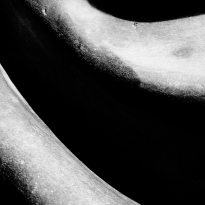 constant -Milan Lines-