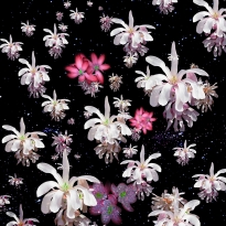 Flower galaxies
