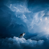 Glacier's Frozen Heart