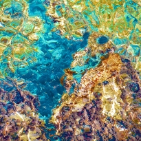 Aquagaf�a Mediterr�nea