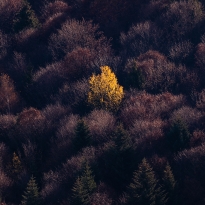 When the colors leave