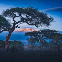 Scenery of African grasslands