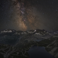 The cosmos in the garden