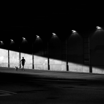 Morning Jogger and Dog