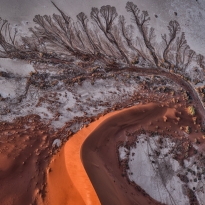 Poetry of Silence No. 713