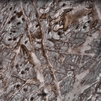 Poetry of Silence No. 592